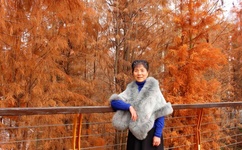 把腿张开JI巴CAO死你高J